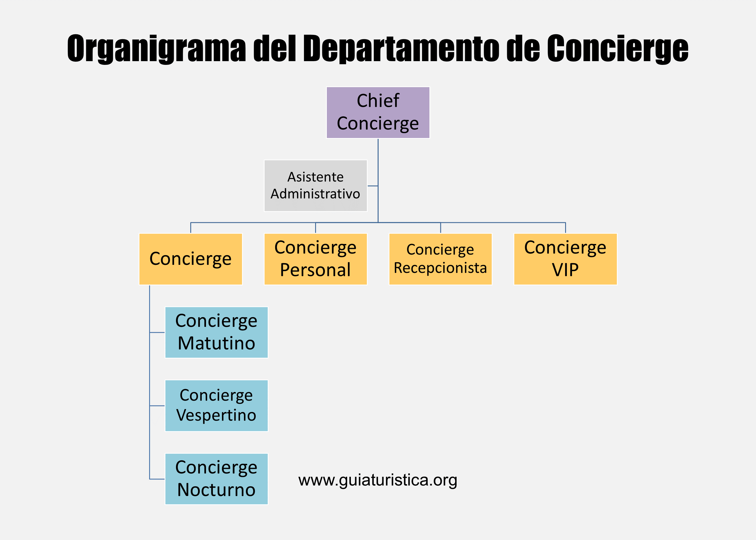 organigrama que represente la organizaciÃ³n del Ã¡rea de concierge